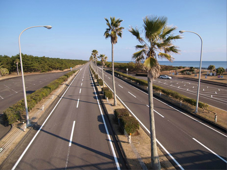 フェニックス道路